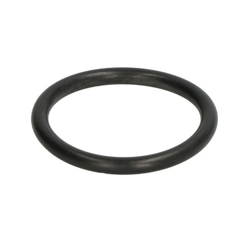 Dichtring thermostatgehäuse - dichtring,,